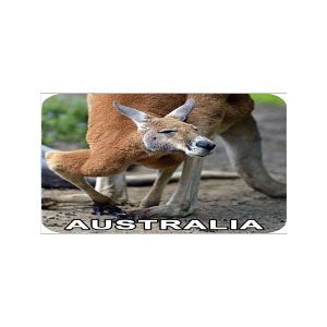 Australiana Stationery - placemats