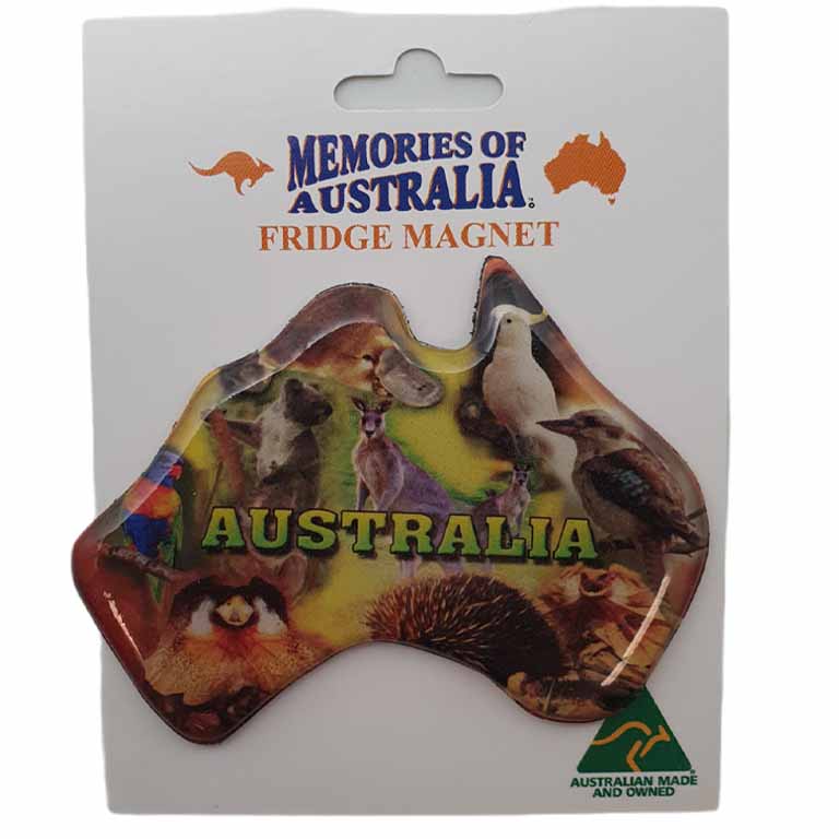 Australian Map Native Animal Australian Made Resin Magnets 3 FMMA 22 Resin Magnet Map Animals