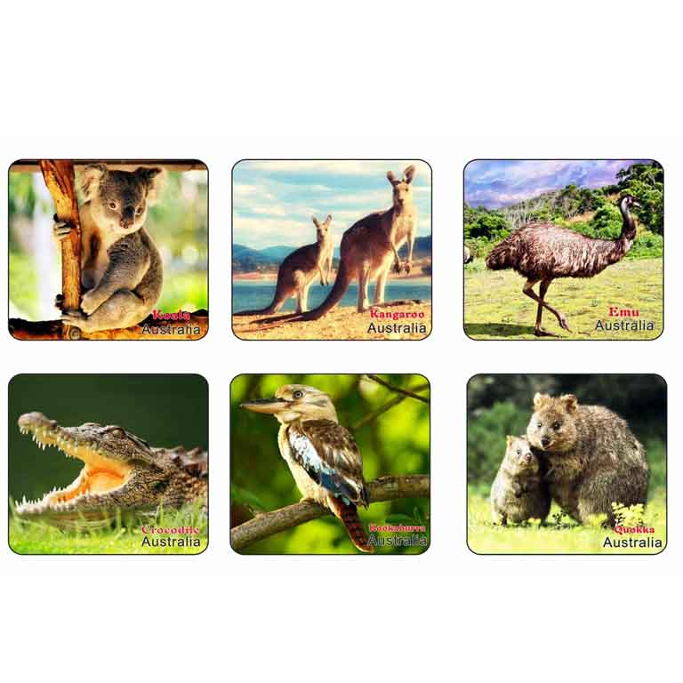 MOA BD AN1 Coasters Square 6pc Animals