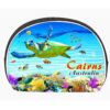 MOA CP2 CN2 Coin Bag Cairns Turtle