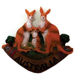 3 Roos on Boomerang 8 x 7cm Polyresin Magnet