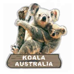 Magnet Aluminum 2 x Koala