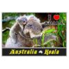 MOA POS KO5 Postcard Koala