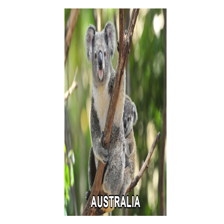 4D Koala & Baby Bookmark 3 4D Koala & Baby Bookmark